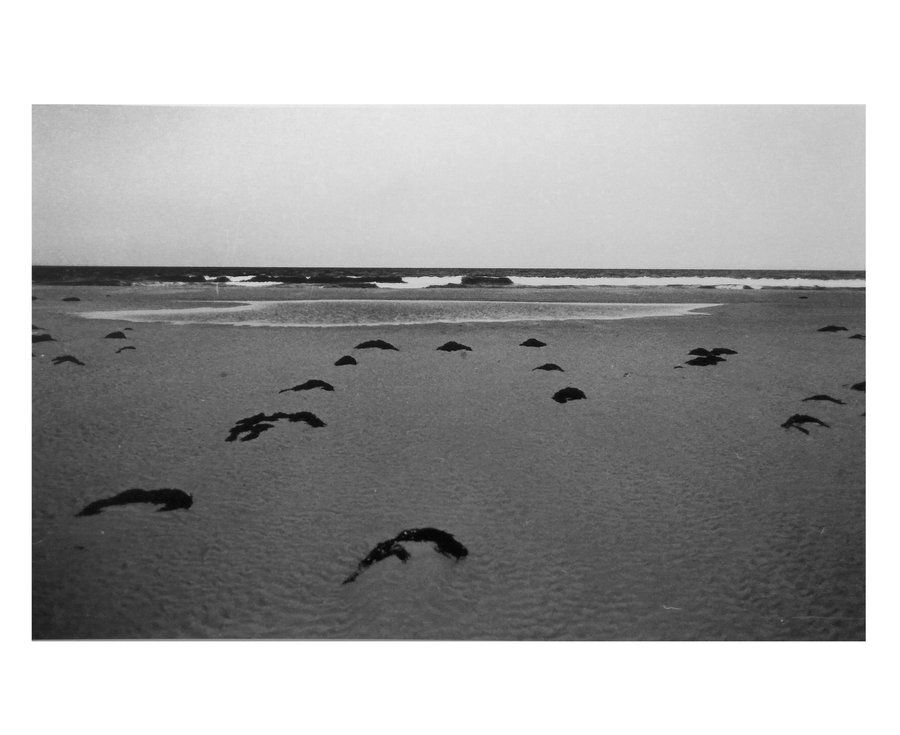 A Stroll Along the Sea — photographie 17