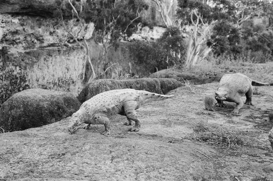 Dinos Alive — photographie 4