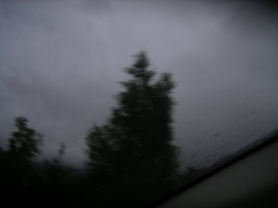 En chemin — photographie 2