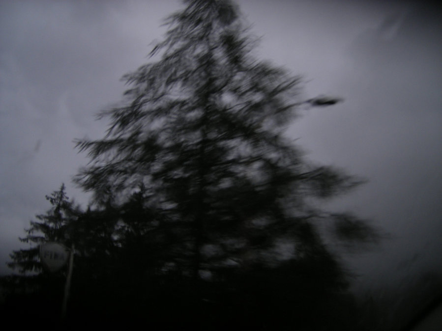 En chemin — photographie 5