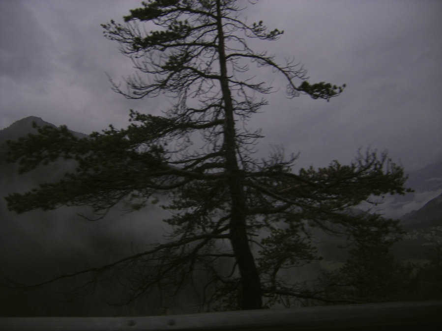 En chemin — photographie 7