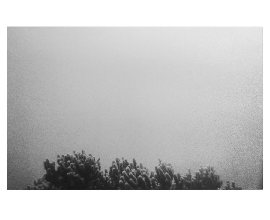 Euphotique — photographie 6