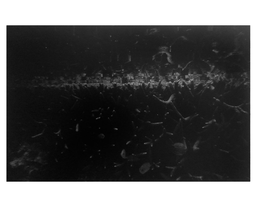 Euphotique — photographie 10