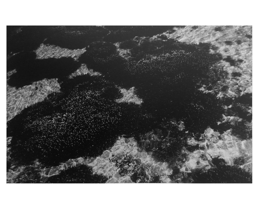 Euphotique — photographie 11