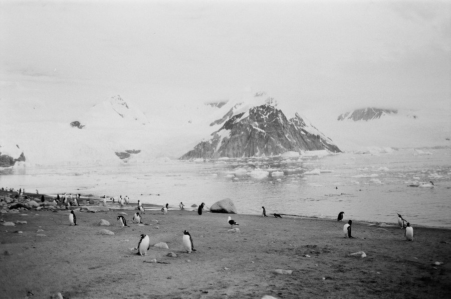 From the North to the South — photographie 14