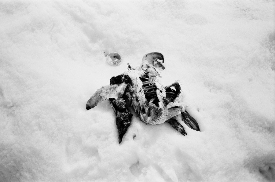 From the North to the South — photographie 31