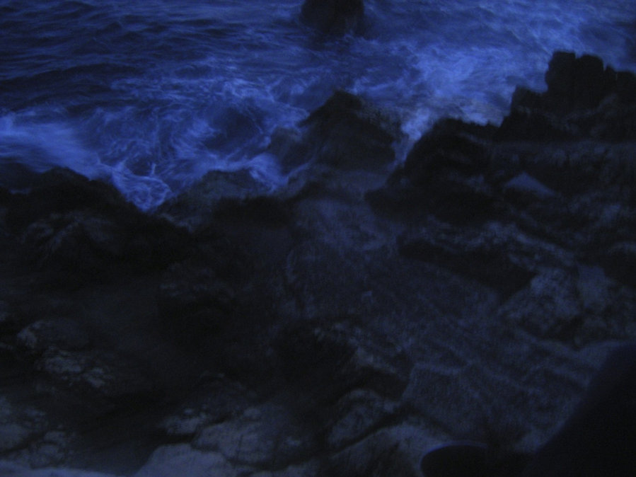 The Blue’s — photographie 7