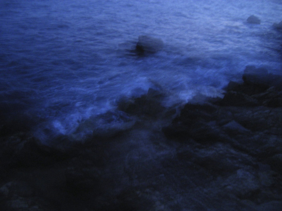 The Blue’s — photographie 8